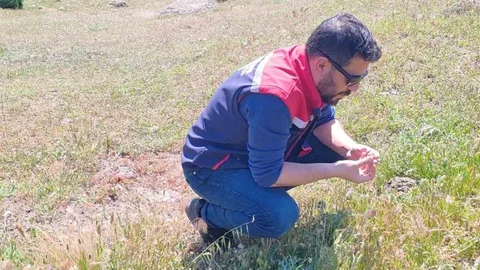 Koçarlı'da Tarımsal Zararlılarla Mücadele Devam Ediyor