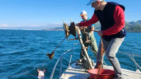 Trabzon'da Kalkan Av Yasağı Denetimi