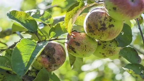 Erzincan'da Üreticilere Uyarı Yapıldı