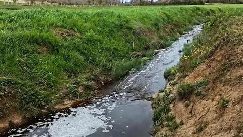 Sinop'ta Çevre Kirliliğine Cezai İşlem