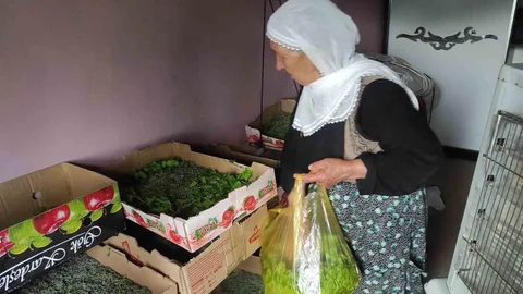 Batman'da İpek Böceği Larvası Dağıtıldı