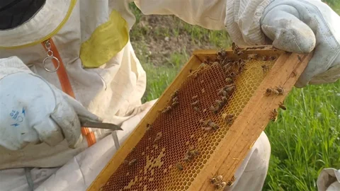 Siirt’te Arıcılık Sezonu Başladı