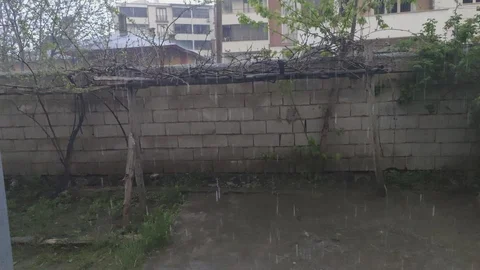 Erciş'te Şiddetli Yağmur Yağışı