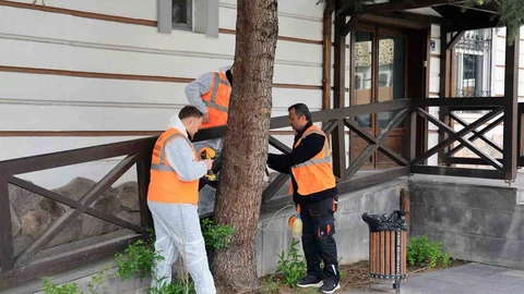 Talas'ta Çevre Dostu İlaçlama Yöntemi