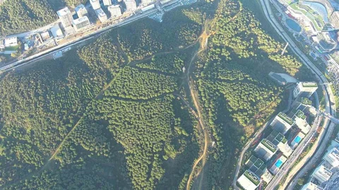 Kağıthane Orman Şehri Olma Yolunda İlerliyor