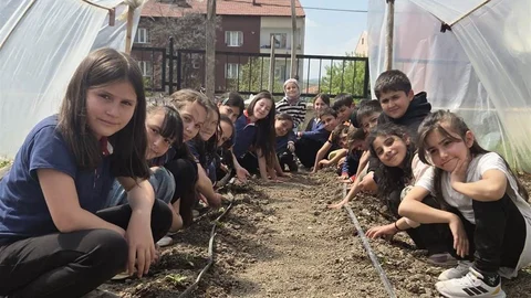 Minik Öğrenciler Salatalık Fidesi Ekti