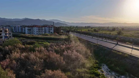 Balıkesir'de Haşereyle Mücadele Çalışmaları