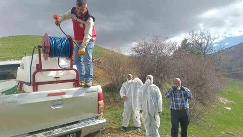 Gümüşhane'de Çekirge İstilasına İlaçlama Başlatıldı