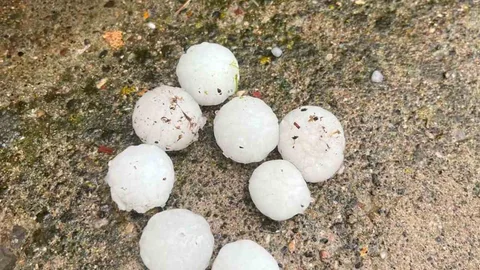Kayseri'de Dolu Yağışı Ağaçlara Zarar Verdi