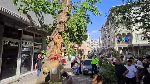 Bursa'da Ağaç Devrildi, Motosiklet Sürücüsü Yaralandı