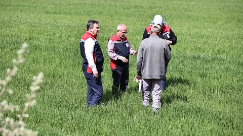 Sivas'ta Hububat Tarlaları İçin Hastalık Uyarısı