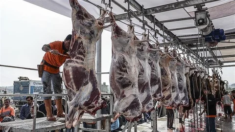 Uzunköprü'de Kurban Kesim Kursu Açılıyor