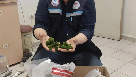 Kapıkule'de Canlı Yeşil Alg Ele Geçirildi