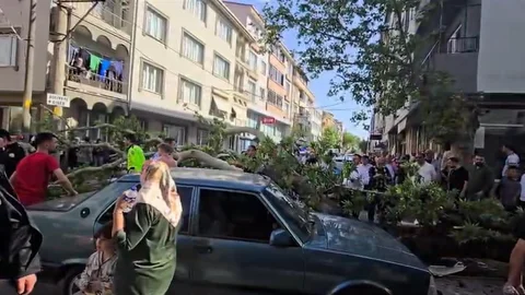 Bursa'da Devrilen Ağaç Kazası