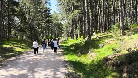 Kütahya Hisarcık'ta Özel Öğrencilerle Doğa Yürüyüşü