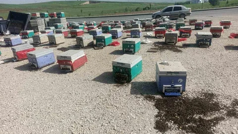 Batman'da Araç Arızası Sonucu Arılar Telef Oldu