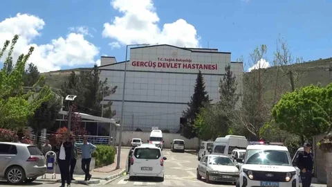 Batman'da Akrep Sokması Olayı
