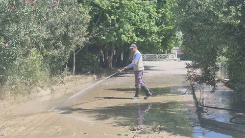 Davutlar'da Temizlik Çalışmaları Başladı