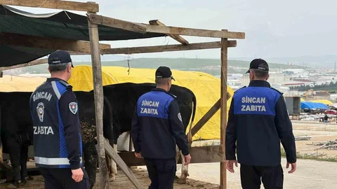 Sincan’da Kurban Pazarları Denetleniyor
