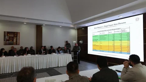 Samsun'da Hayvan Barınakları Yetersiz Kalıyor