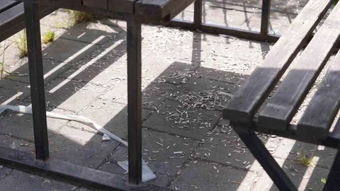 Melen Su Park’ta Çöp Sorunu Yaşandı