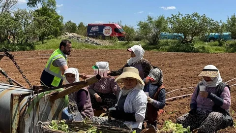 Denizli'de Tarım İşçilerine İkram Yapıldı