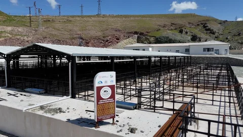 Elazığ'da Kurban Hazırlıkları Başladı