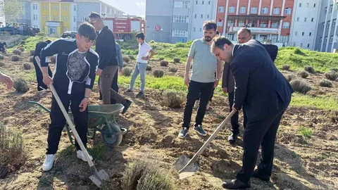 Çavdarhisar'da Lavanta Fidanı Dikimi Yapıldı