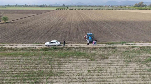 Adana'da Dolu Yağışı Sonrası Ayçiçeği Ekimi