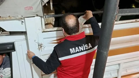 Salihli'de Kurbanlık Araç Denetimi