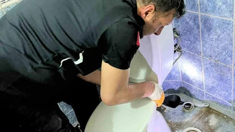 Nevşehir'de Klozete Düşen Yavru Kedi Kurtarıldı