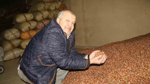 Giresun'da Fındık Fiyatları Düşüşte