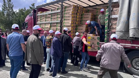 Erzincan'da Fide Dağıtımı Yapıldı