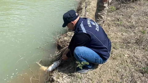Karasu Nehri'nde Denetim Yapıldı