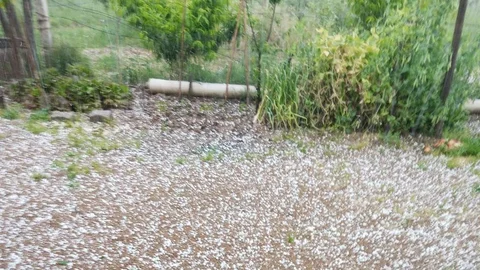 Sarıgöl'de Dolu Yağışı Etkili Oldu