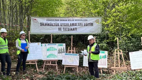 Yenice'de Silvikültür Eğitim Tatbikatı Tamamlandı