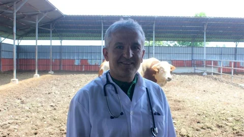 Düzce'de Kurbanlık Hayvan Bakımı Önerileri