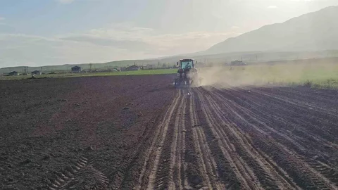Adilcevaz'da Şeker Pancarı Ekim Sezonu Başladı