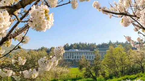 Mudanya Üniversitesi'ne Yeni Bölümler Eklendi