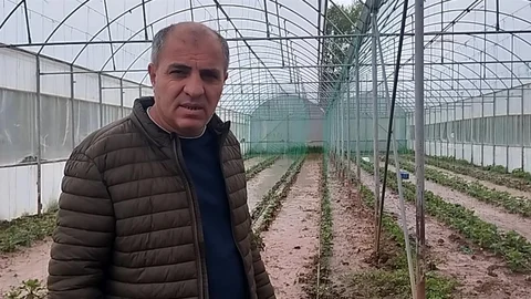 Sivas'ta Taşan Dere Tarım Arazilerini Vurdu