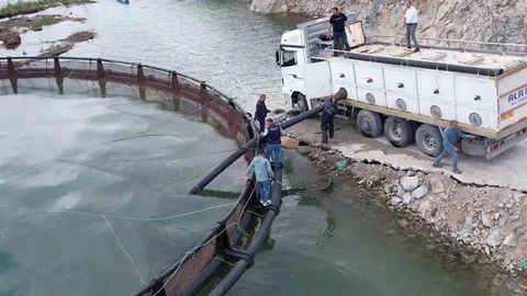 Adıyaman'da Türk Somonu Üretimi Başladı