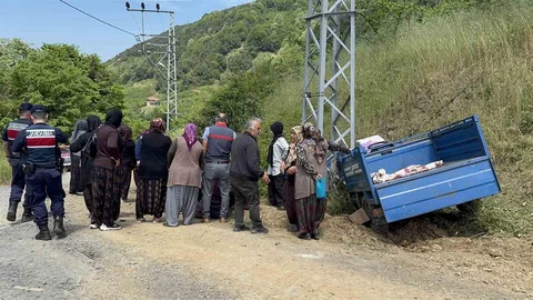 Zonguldak'ta Tarım Aracı Devrildi, 5 Yaralı