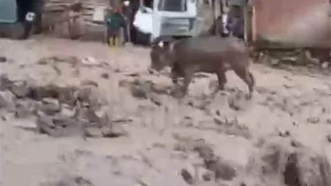 Şebinkarahisar’da Şiddetli Yağış Etkili Oldu