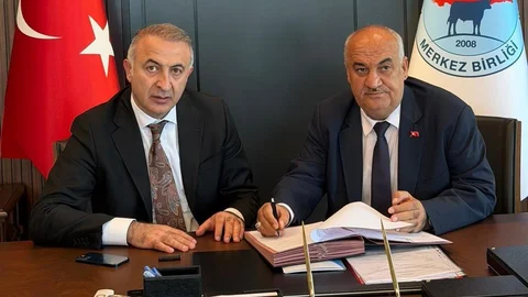 Aziziye'de Hayvancılık Atılımı