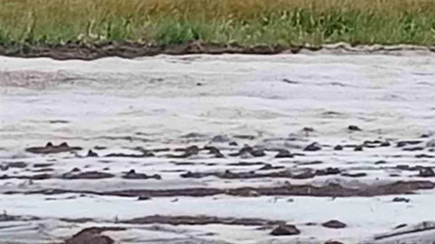 Adana'da Dolu Yağışı Hasar Verdi