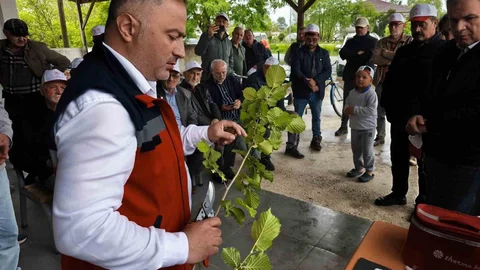 Samsun'da Aşılama Sertifikası Dağıtımı