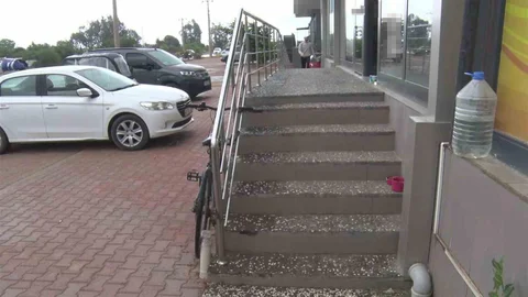 Antalya'da Hayvanlara Eziyet Olayı
