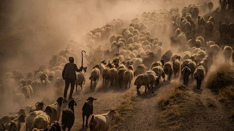 Hevsel Kupası Sonuçları Açıklandı