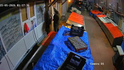 Elazığ'da Balıkçı Dükkanına Hırsızlık