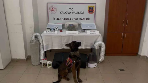 Yalova'da Göçmen Kaçakçılığı Operasyonu